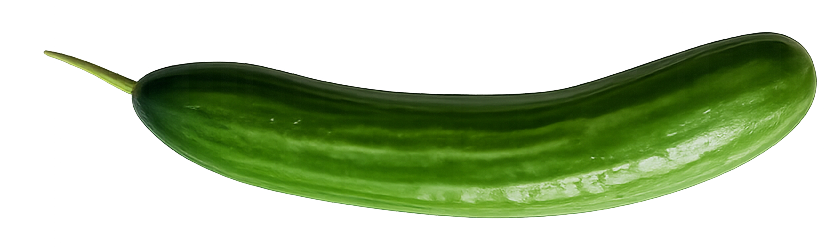 Dưa leo