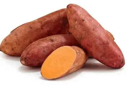 Khoai lang mật