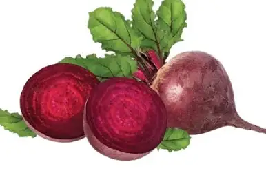 Củ dền