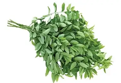 Rau ngót