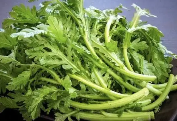Cải cúc